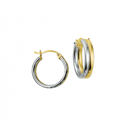 BICOLOR GOUDEN CREOLEN - 10699