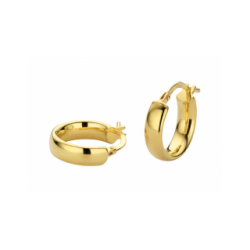 GEELGOUDEN CREOLEN MET ZILVEREN KERN - 27540