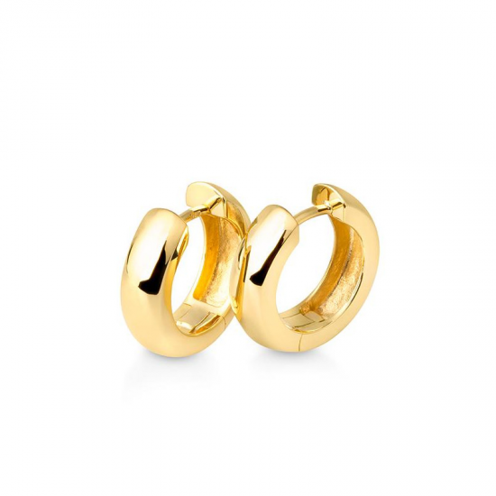 ZILVEREN CREOLEN  GEEL VERGULD - 39025