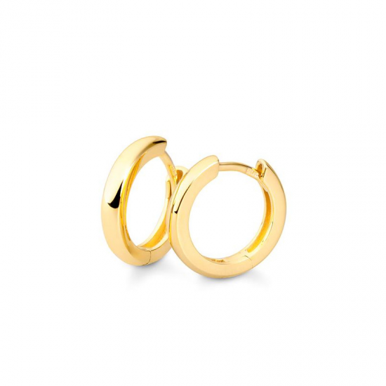 ZILVEREN CREOLEN  GEEL VERGULD - 39030