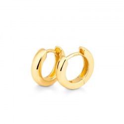 ZILVER VERGULDE CREOLEN - 39033