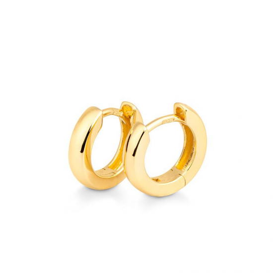 ZILVER VERGULDE CREOLEN - 39033