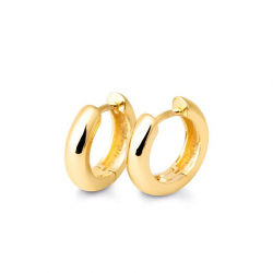 ZILVEREN CREOLEN  GEEL VERGULD - 39032