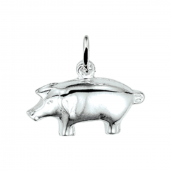 ZILVEREN BEDEL - 37329