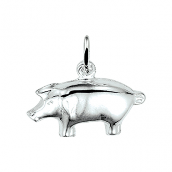 ZILVEREN BEDEL - 37329