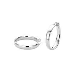 FJORY  WITGOUDEN CREOLEN MET ZILVEREN KERN - 37770