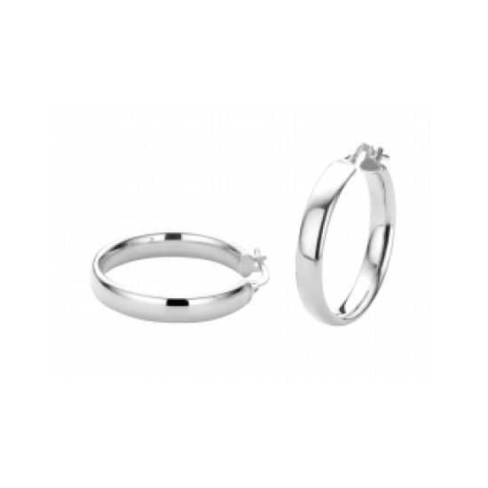 FJORY  WITGOUDEN CREOLEN MET ZILVEREN KERN - 37770