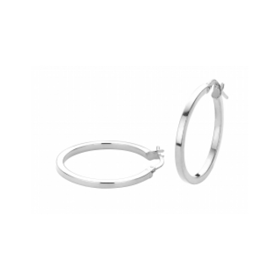 FJORY  WITGOUDEN CREOLEN MET ZILVEREN KERN - 37773