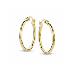 FJORY  GEELGOUDEN CREOLEN MET ZILVEREN KERN - 37774