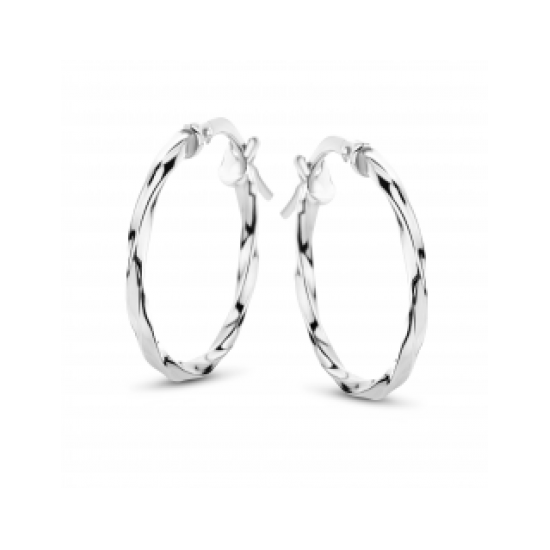 FJORY WITGOUDEN CREOLEN MET ZILVEREN KERN - 37783