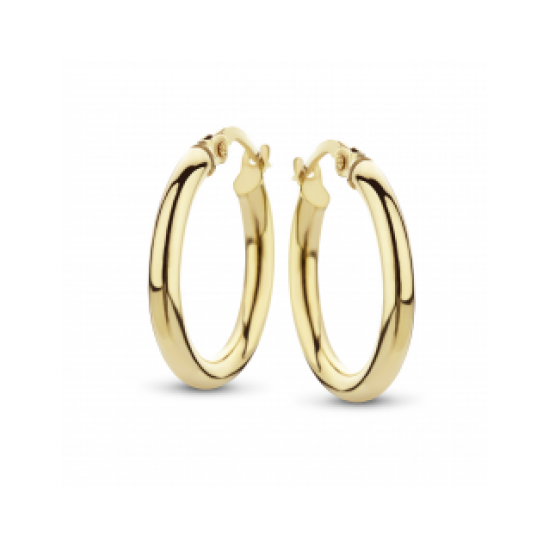 FJORY  GEELGOUDEN CREOLEN MET ZILVEREN KERN - 37776