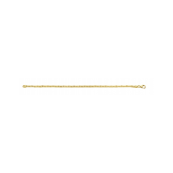 GOUDEN PALMIER ARMBAND MET ZILVEREN KERN - 38261