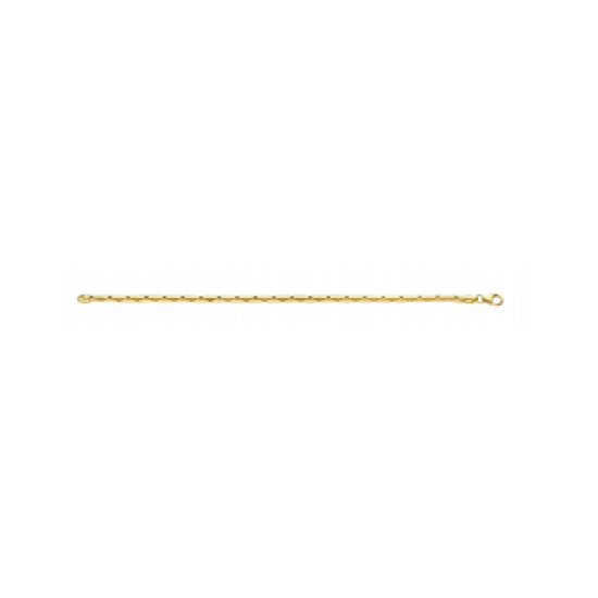 GOUDEN PALMIER ARMBAND MET ZILVEREN KERN - 38261