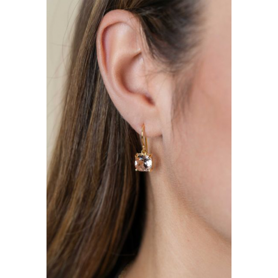 ZINZI ZILVER VERGULD OORHANGERS - 39720