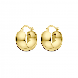 14 karaat geelgouden fantasie creolen - 39854