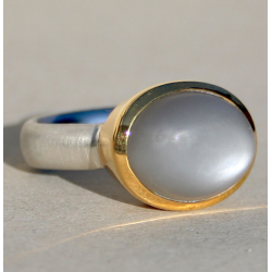 ZILVEREN RING - 40434