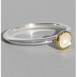 ZILVEREN RING - 40435