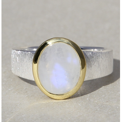 ZILVEREN RING - 40459