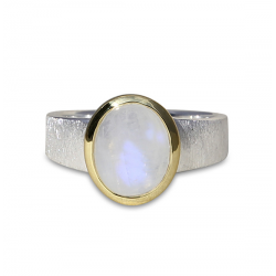 ZILVEREN RING - 40459