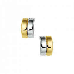 BICOLOR GOUDEN OORSIERADEN - 40723