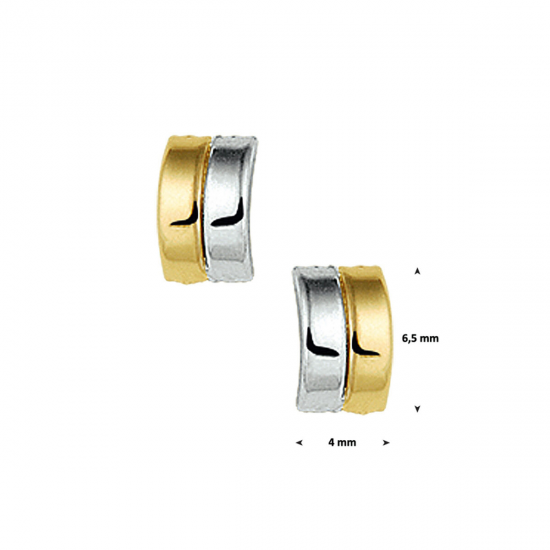 BICOLOR GOUDEN OORSIERADEN - 40723