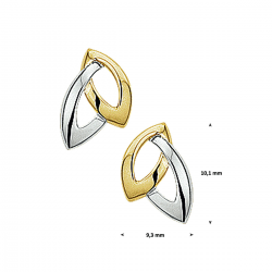 BICOLOR GOUDEN OORSIERADEN - 40725