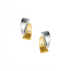BICOLOR GOUDEN OORSIERADEN - 40764