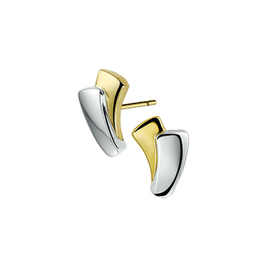 BICOLOR GOUDEN OORSIERADEN - 40767