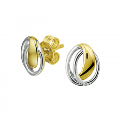 BICOLOR GOUDEN OORSIERADEN - 40768