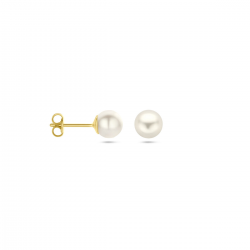 GOUDEN OORSIERADEN - 40771