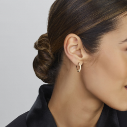 GOUDEN OORSIERADEN - 40784