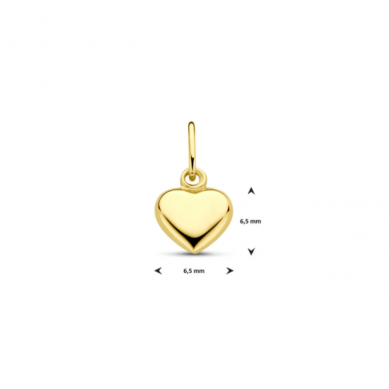 GOUDEN HANGER - 40810