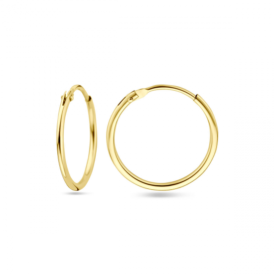 GOUDEN CREOLEN - 40860