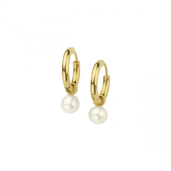 GOUDEN CREOLEN - 40880