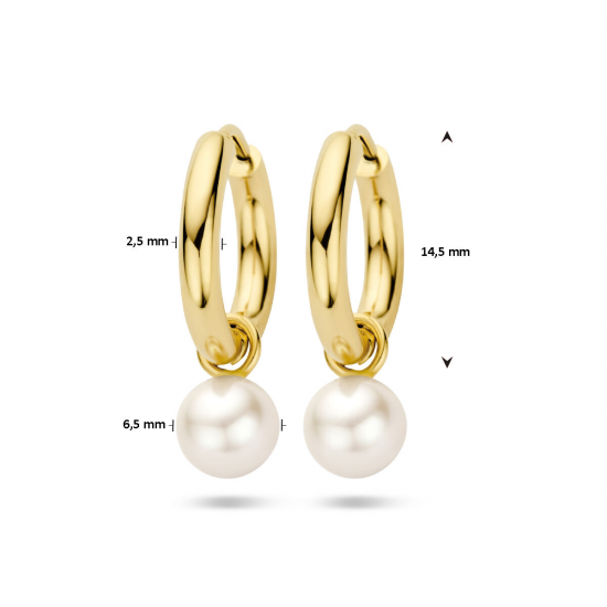 GOUDEN CREOLEN - 40880