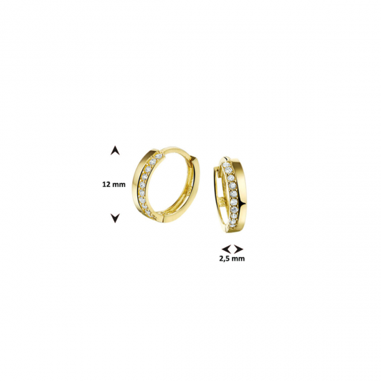 GOUDEN CREOLEN - 40885