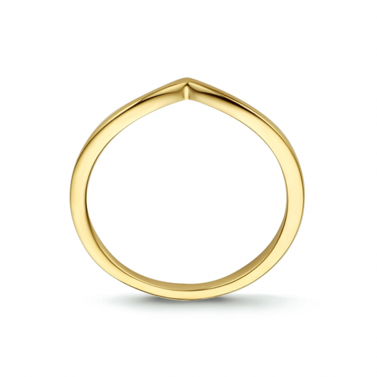 GOUDEN RING - 40888