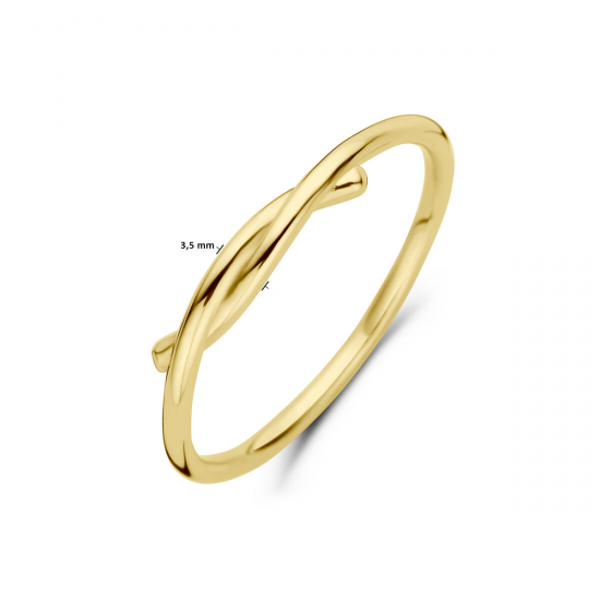 GOUDEN RING - 40889