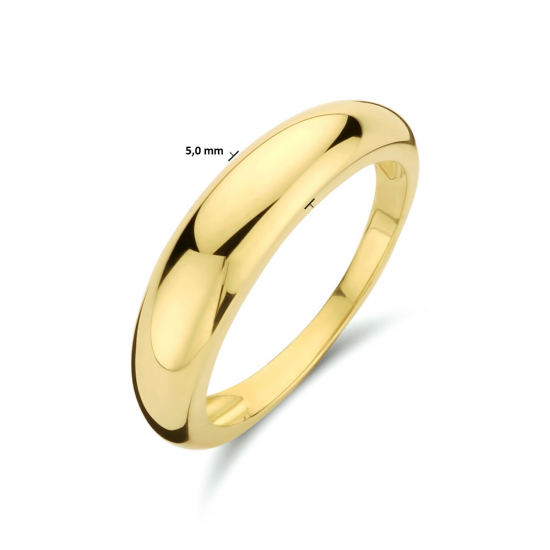 GOUDEN RING - 40892