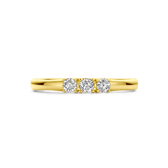 GOUDEN RING - 40893