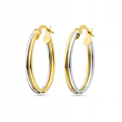 BICOLOR GOUDEN CREOLEN - 40982