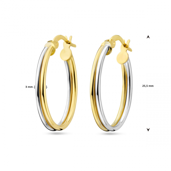 BICOLOR GOUDEN CREOLEN - 40982