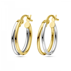 BICOLOR GOUDEN CREOLEN - 40985