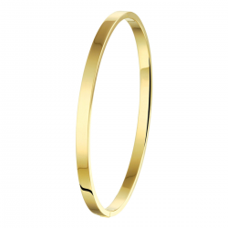SILGOLD BANGLE - 41000