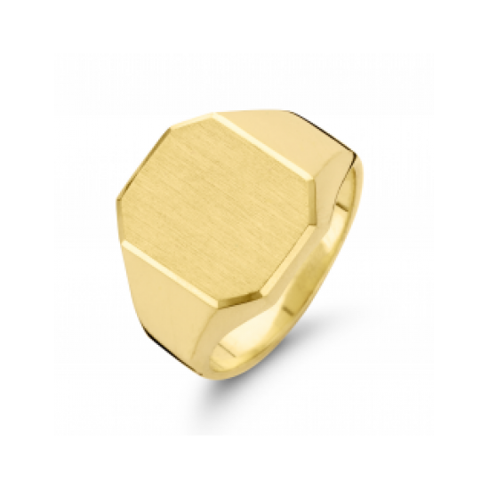 Fjory zegelring 14 krt. geelgoud met zilveren kern - 41113
