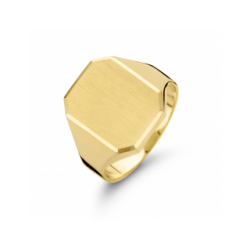 FJORY HEREN ZEGELRING - 41569