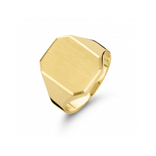 FJORY HEREN ZEGELRING - 41569