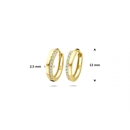9k klapoorringen zirkonia 12 mm - 42026