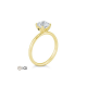 GOUDEN RING DIAMANT - 42097