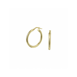 oorringen ronde buis 2,5 mm - 41059